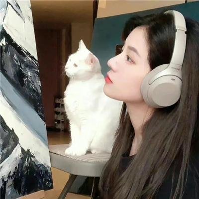中华熊猫